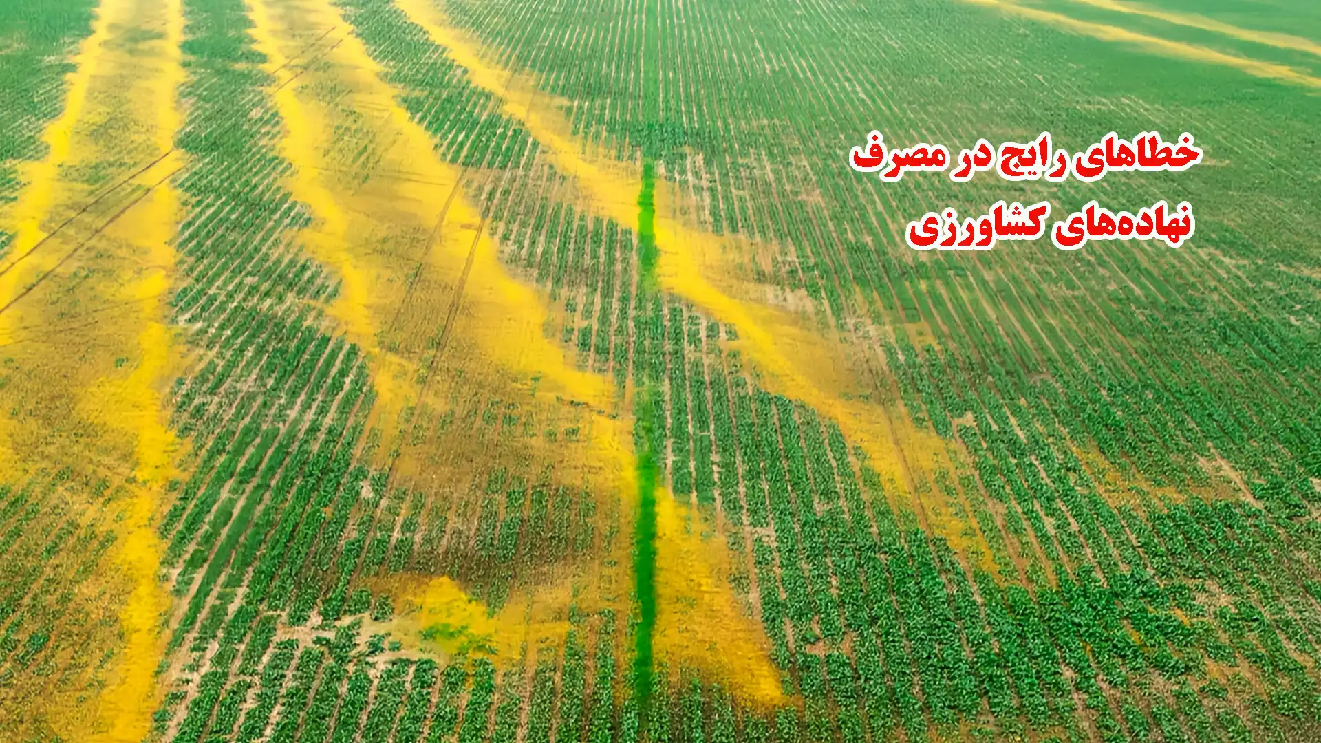 دام‌هایی که حاصلخیزی خاک را تهدید می‌کنند؛ اشتباهات رایج کشاورزان در استفاده از کود و سم